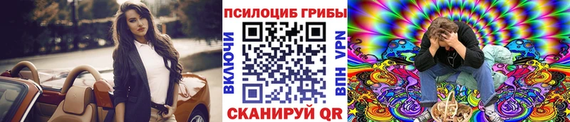 Псилоцибиновые грибы Cubensis  KRAKEN ссылки  Краснокамск 